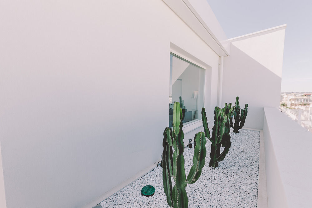 Suite 10 Home Design & Spa Polignano a Mare Exterior foto